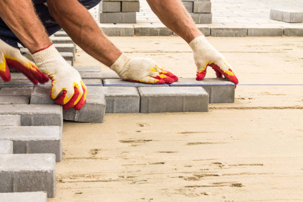 Best Driveway Paving Company  in Broomfield, CO